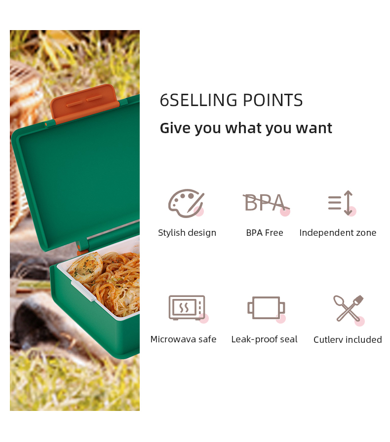 FY8171新印花书本午餐盒详情 (2)